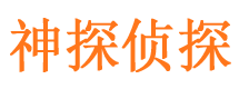 施甸侦探公司